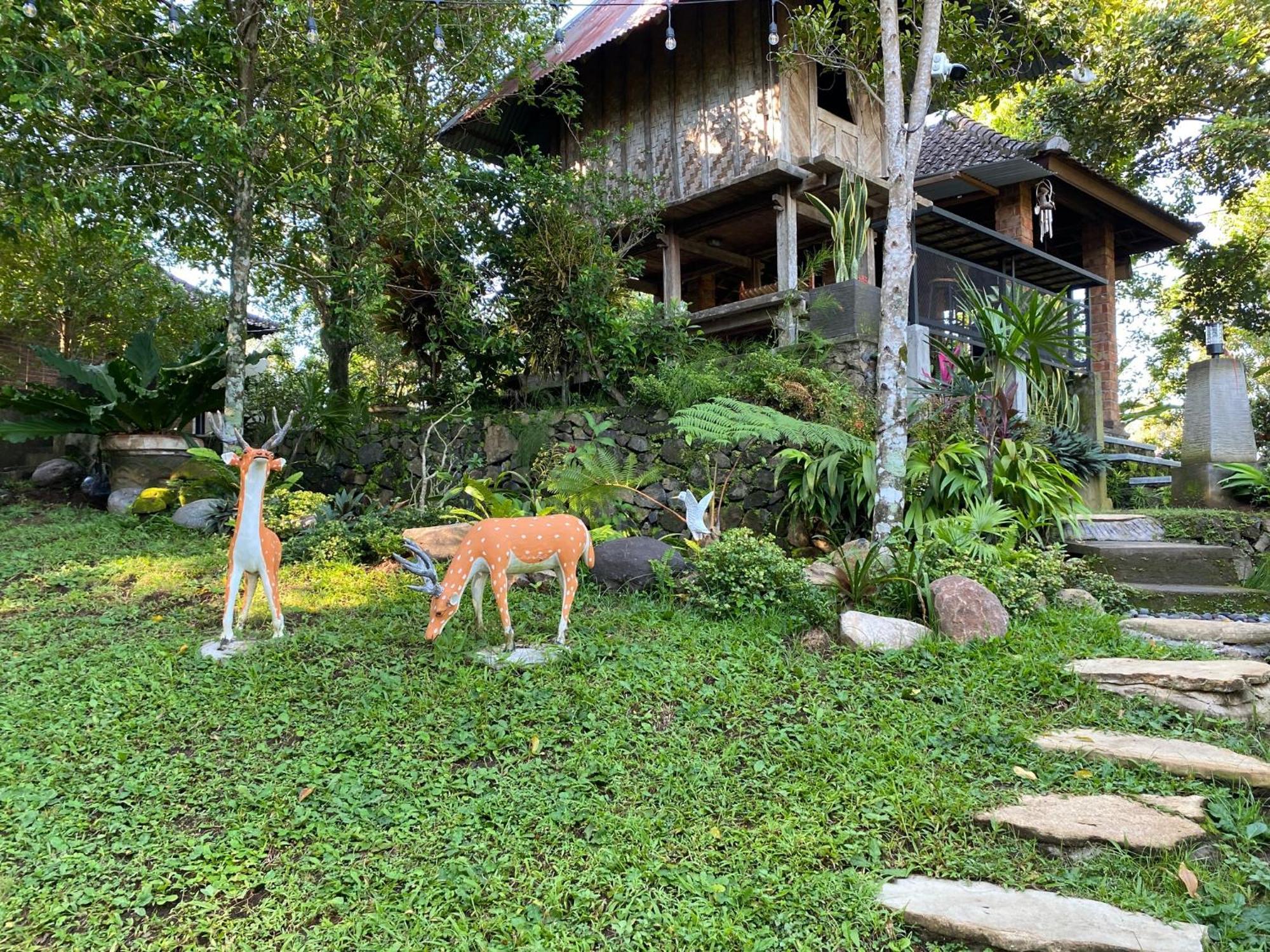 Mayong Bali Villa And Hostel Munduk  Exterior photo